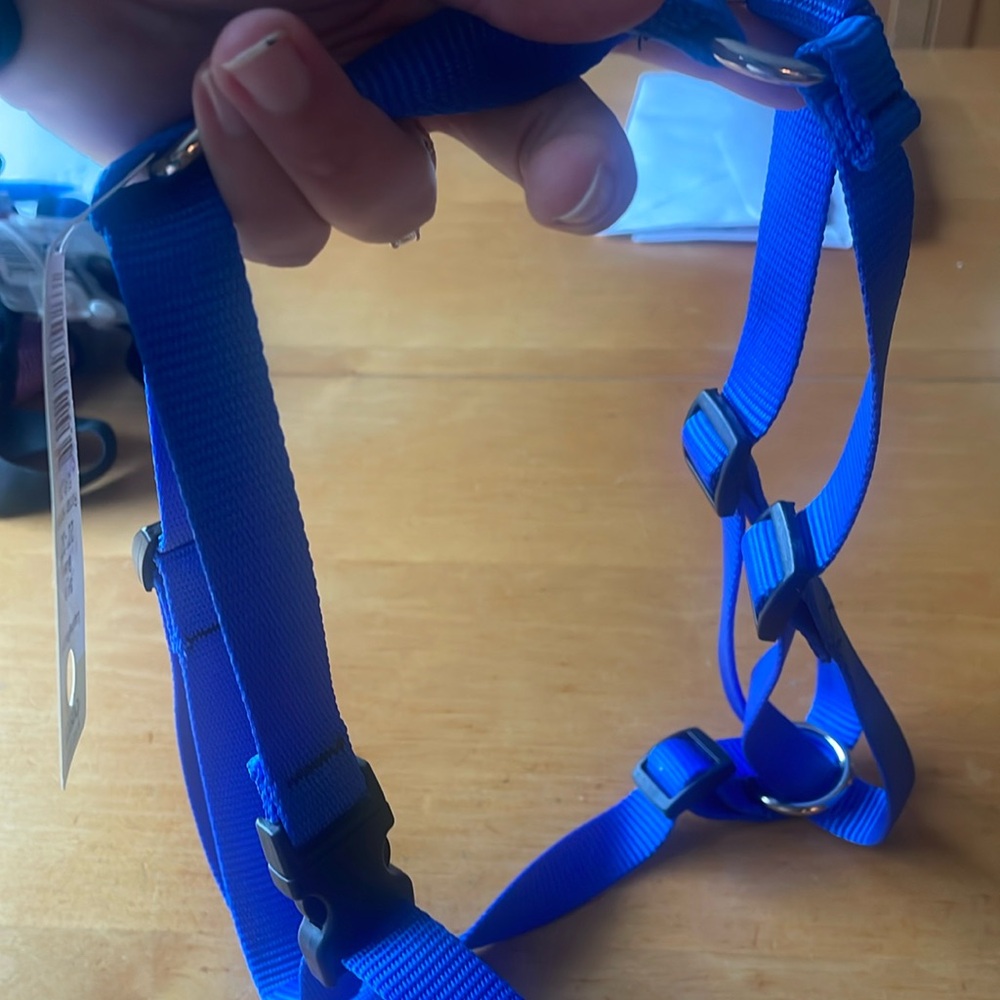 Lupine Roman Harness 3/4in 20-32”